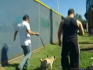 We Owe It To The Dogs